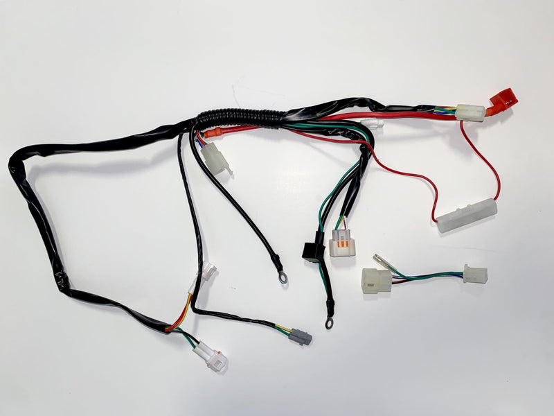 4025 | Wiring Loom-  Fits ZS190 and ZS212 Models